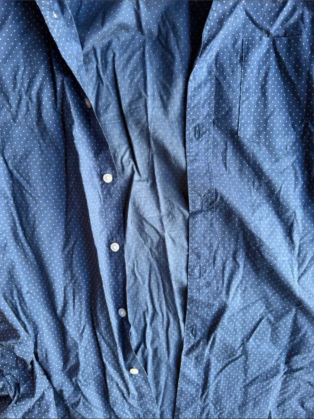 J. Crew Men's Navy Blue Micro-Dot Button-Up Shirt
